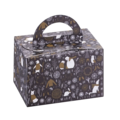 FS2