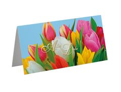 Greeting card tulips