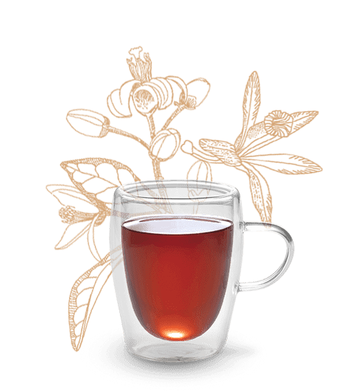 Basilur tea kaufen - Die Favoriten unter der Vielzahl an verglichenenBasilur tea kaufen