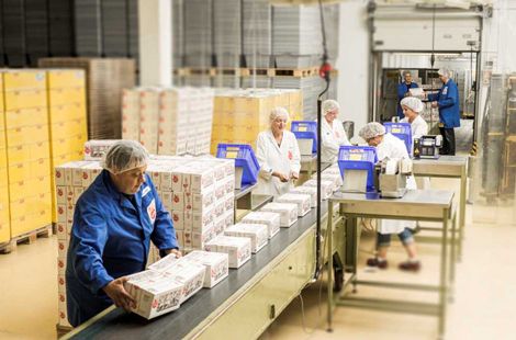 Mitarbeiter verpacken die fertiggestellten Lebkuchen am Laufband